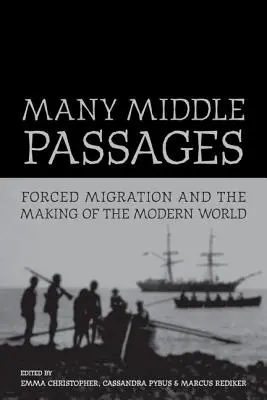 De nombreux passages intermédiaires : Les migrations forcées et la construction du monde modernevolume 5 - Many Middle Passages: Forced Migration and the Making of the Modern Worldvolume 5