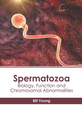 Spermatozoïdes : Biologie, fonction et anomalies chromosomiques - Spermatozoa: Biology, Function and Chromosomal Abnormalities