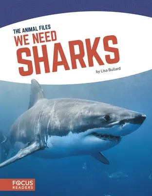 Nous avons besoin de requins - We Need Sharks