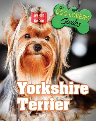 Terrier du Yorkshire - Yorkshire Terrier