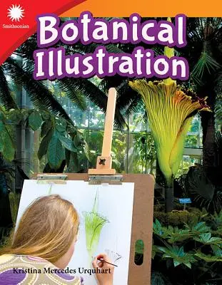 Illustration botanique - Botanical Illustration