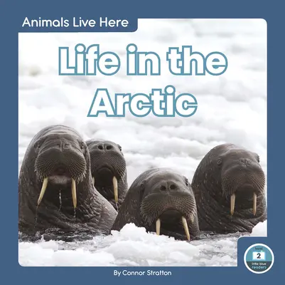 La vie dans l'Arctique - Life in the Arctic