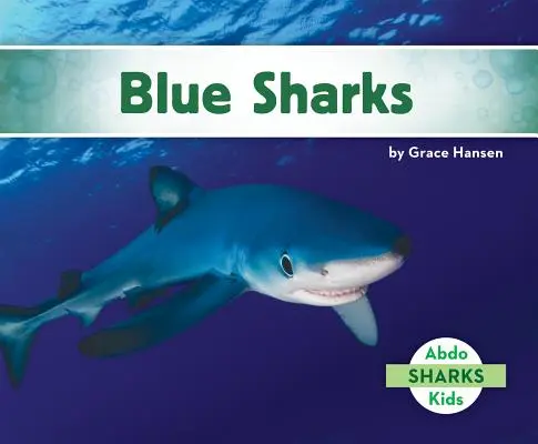 Requins bleus - Blue Sharks