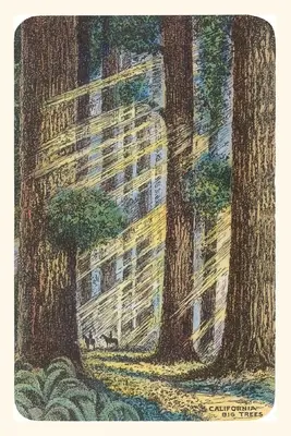 Journal d'époque Rayons de soleil et séquoias - Vintage Journal Sunbeams and Redwoods