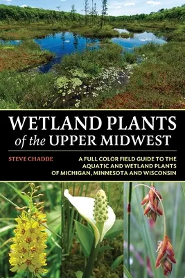 Plantes des zones humides du Haut-Midwest - Wetland Plants of the Upper Midwest