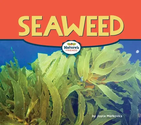 Algues - Seaweed