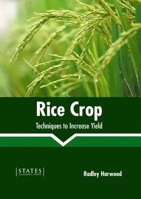 Riziculture : techniques pour augmenter le rendement - Rice Crop: Techniques to Increase Yield
