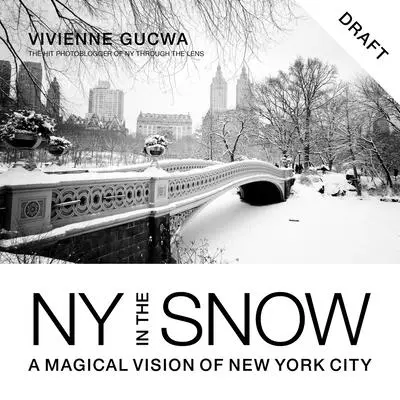 New York sous la neige : Une vision magique de la ville de New York - New York in the Snow: A Magical Vision of New York City