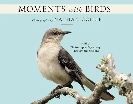 Moments avec les oiseaux : Le voyage d'un photographe d'oiseaux à travers les saisons - Moments with Birds: A Bird Photographer's Journey Through the Seasons