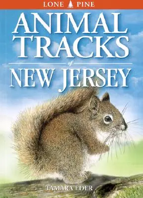 Traces d'animaux du New Jersey - Animal Tracks of New Jersey