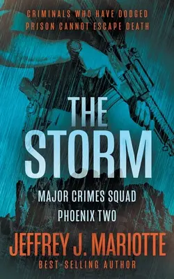 La Tempête : Une série policière - The Storm: A Police Procedural Series