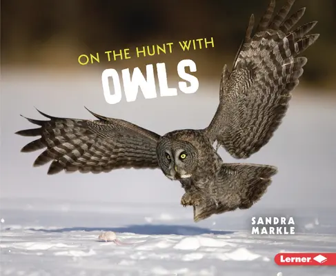 À la chasse aux hiboux - On the Hunt with Owls