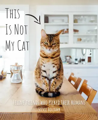 Ce n'est pas mon chat : Des amis félins qui ont choisi leurs humains - This Is Not My Cat: Feline Friends Who Picked Their Humans