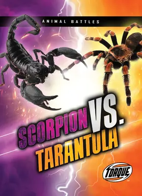 Scorpion vs Tarentule - Scorpion vs. Tarantula