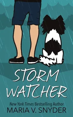 Veilleur de tempête - Storm Watcher