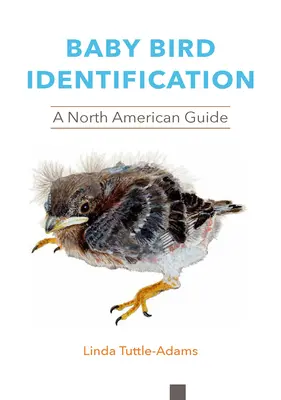 Identification des bébés oiseaux : Un guide pour l'Amérique du Nord - Baby Bird Identification: A North American Guide