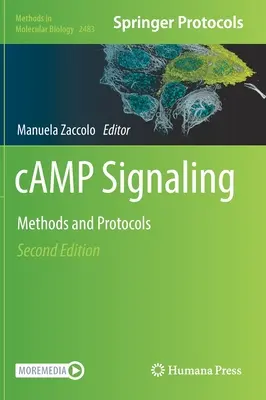 Signaux de camp - Camp Signaling