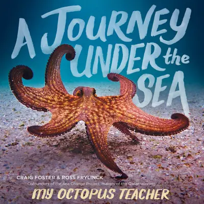 Un voyage sous la mer - A Journey Under the Sea