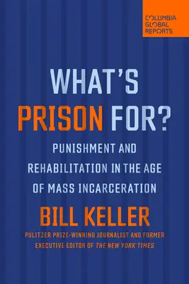 A quoi sert la prison : punition et réinsertion à l'ère de l'incarcération de masse - What's Prison For?: Punishment and Rehabilitation in the Age of Mass Incarceration