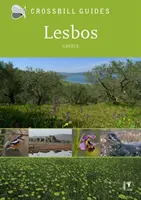 Lesbos - Grèce - Lesbos - Greece