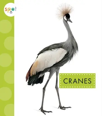 Grues - Cranes