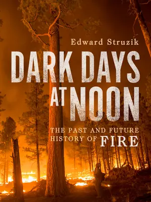 Dark Days at Noon : L'avenir du feu - Dark Days at Noon: The Future of Fire