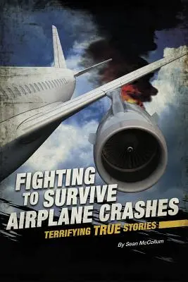 Se battre pour survivre à un accident d'avion : Des histoires vraies terrifiantes - Fighting to Survive Airplane Crashes: Terrifying True Stories