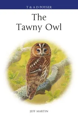 La chouette hulotte - The Tawny Owl