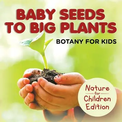 Baby Seeds To Big Plants : La botanique pour les enfants La nature pour les enfants - Baby Seeds To Big Plants: Botany for Kids Nature for Children Edition