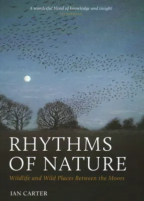 Rythmes de la nature : La faune et la flore sauvages entre les landes - Rhythms of Nature: Wildlife and Wild Places Between the Moors