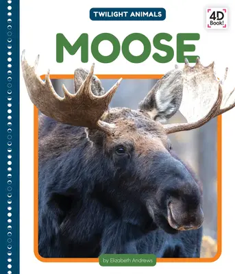 L'élan - Moose