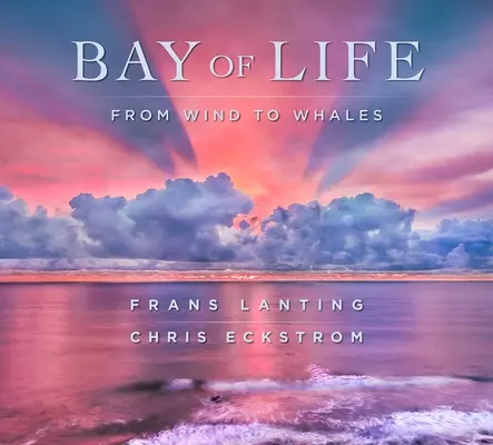 La baie de la vie : Du vent aux baleines - Bay of Life: From Wind to Whales