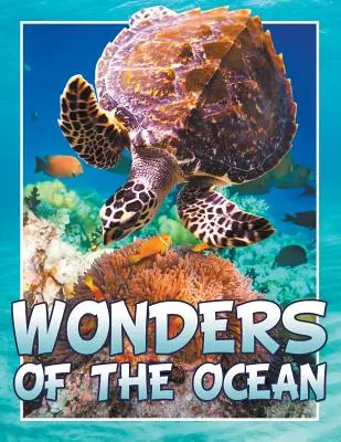 Merveilles de l'océan - Wonders of the Ocean