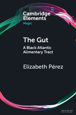 L'intestin : Le tube digestif des Noirs de l'Atlantique - The Gut: A Black Atlantic Alimentary Tract