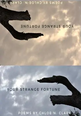 Votre étrange fortune - Your Strange Fortune