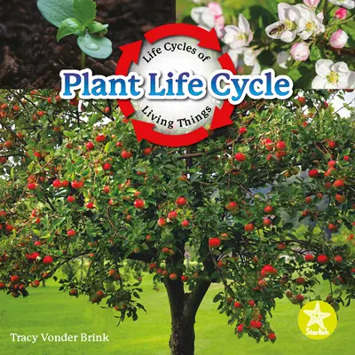 Cycle de vie des plantes - Plant Life Cycle