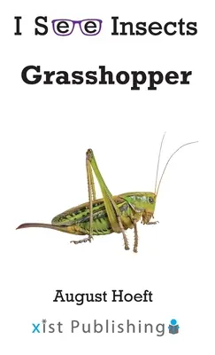 Sauterelle - Grasshopper