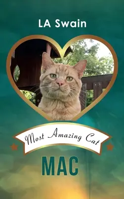 Mac : Le chat le plus étonnant - Mac: Most Amazing Cat