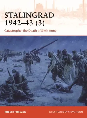 Stalingrad 1942-43 (3) : La catastrophe : La mort de la 6e armée - Stalingrad 1942-43 (3): Catastrophe: The Death of 6th Army