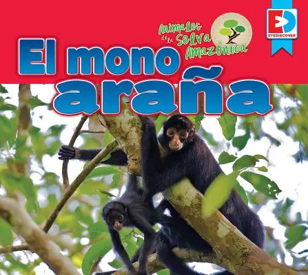 Animaux de la Selva Amaznica -- El Mono Araa - Animales de la Selva Amaznica -- El Mono Araa