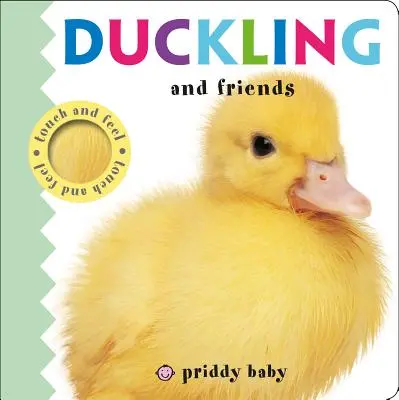 Caneton et ses amis - Duckling and Friends
