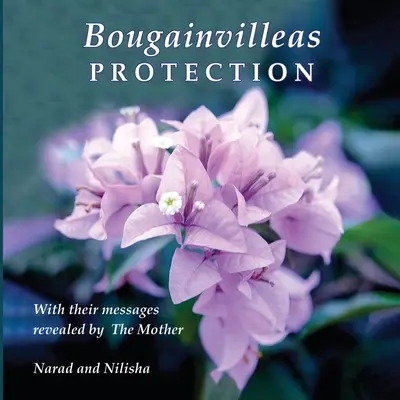 La protection des bougainvilliers : avec leurs messages révélés par la mère (Narad (Richard Eggenberger)) - Bougainvilleas PROTECTION: With Their Messages Revealed by The Mother (Narad (Richard Eggenberger))