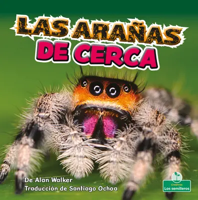 Las Araas de Cerca (Les araignées de près) - Las Araas de Cerca (Spiders Up Close)