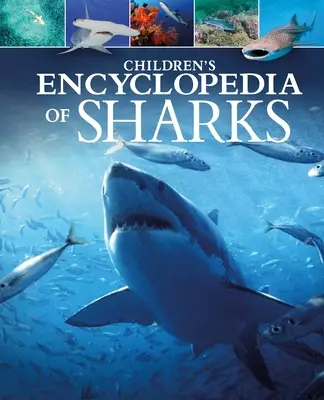 Encyclopédie des requins pour enfants - Children's Encyclopedia of Sharks