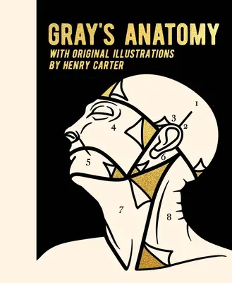 Anatomie de Gray : Avec des illustrations originales par Henry Carter - Gray's Anatomy: With Original Illustrations by Henry Carter