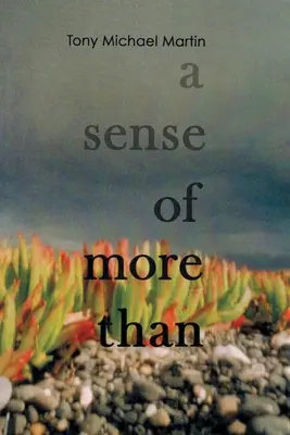 Le sens du plus que - A Sense of More Than