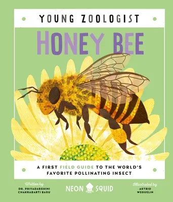 L'abeille domestique (Jeune zoologiste) : Un premier guide de terrain sur l'insecte pollinisateur le plus populaire au monde - Honey Bee (Young Zoologist): A First Field Guide to the World's Favorite Pollinating Insect