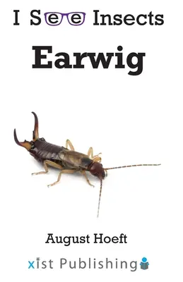 Perce-oreille - Earwig