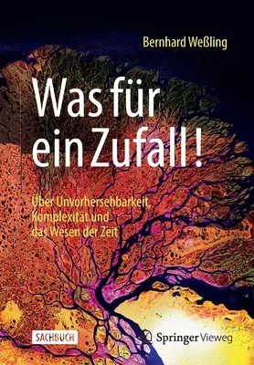 Was Fr Ein Zufall : ber Unvorhersehbarkeit, Komplexitt Und Das Wesen Der Zeit - Was Fr Ein Zufall!: ber Unvorhersehbarkeit, Komplexitt Und Das Wesen Der Zeit