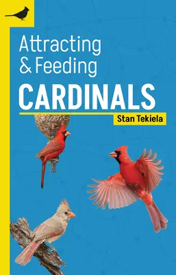 Attirer et nourrir les cardinaux - Attracting & Feeding Cardinals